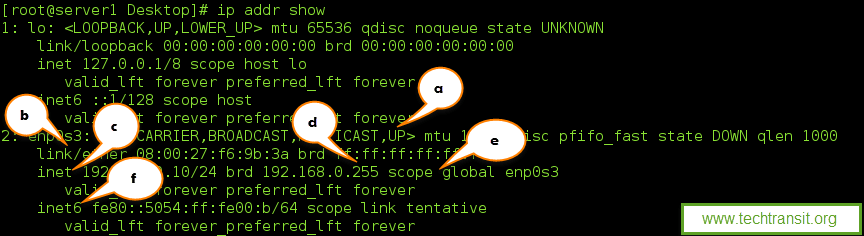 show all interface device information