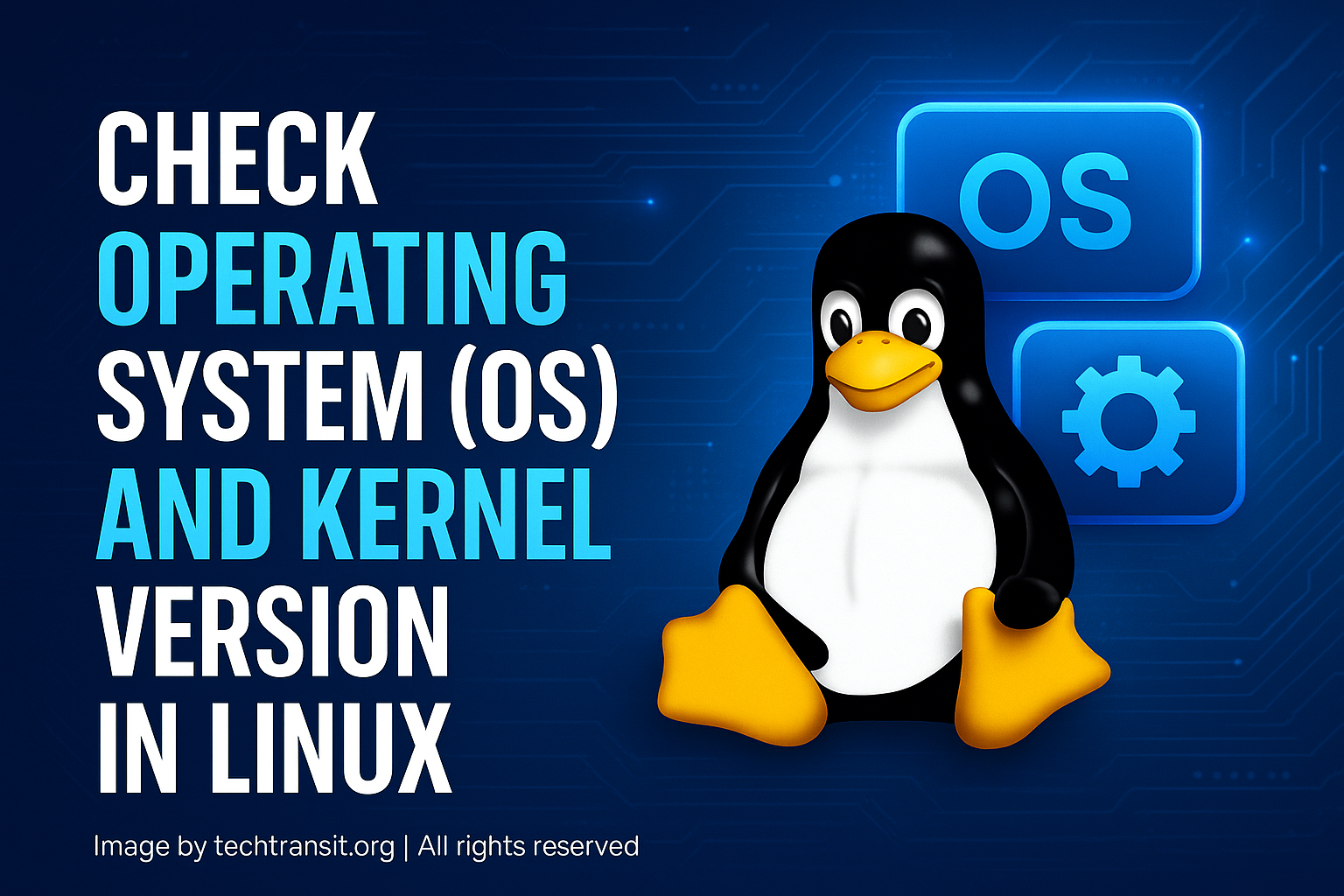 Illustration showing Linux terminal with commands to check operating system and kernel version, titled 'How to Check OS and Kernel Version in Linux' with icons of Ubuntu, CentOS, and command line interface.