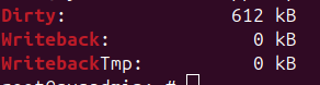 Screenshot by TechTransit.org: Inspecting Dirty and Writeback memory buildup.