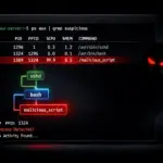 Why Linux malware keeps slipping past monitoring — and the runtime clue you’re missing